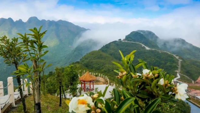 2025年5月家书|在防城港，邂逅山海间的诗意时光