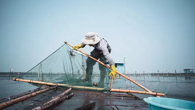 2025年4月家书|在潮汐涨落处等风来